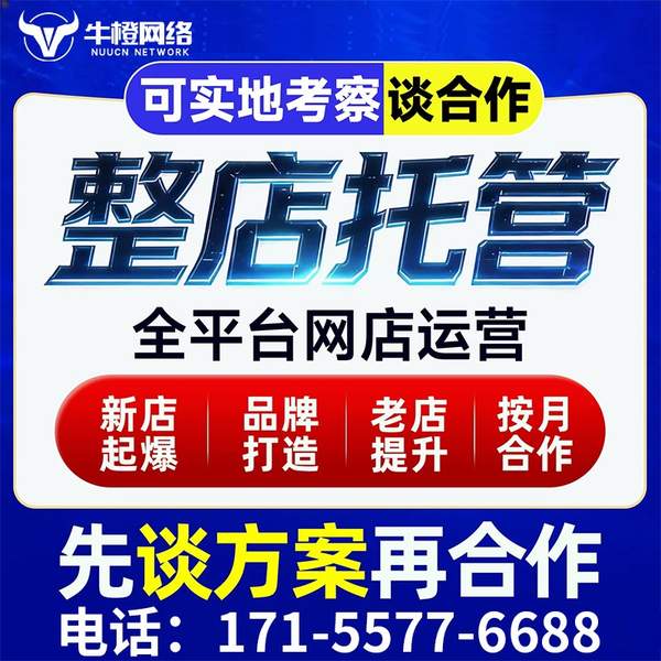 锡林郭勒电商代运营