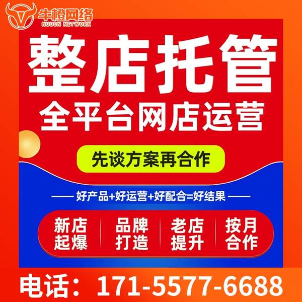锡林郭勒电商代运营