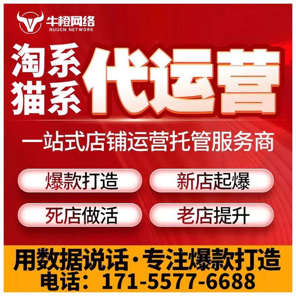锡林郭勒电商代运营